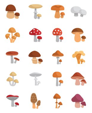 Zehirli mantarlar, simge illüstrasyonu, beyaz arkaplanda vektör