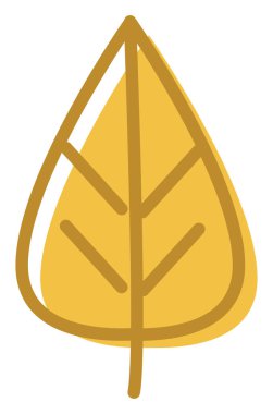 Sivri sarı bir yaprak, beyaz bir arkaplan üzerinde çizimler..