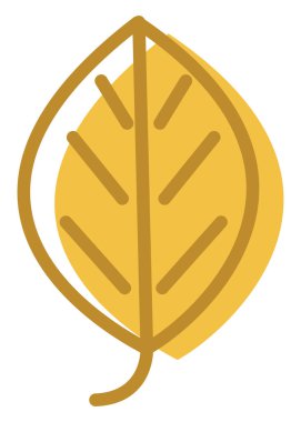 Yuvarlak sarı yaprak, resim, beyaz bir arkaplanda..