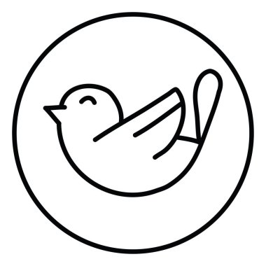 Kuş Kiwi, resim, beyaz arka planda.