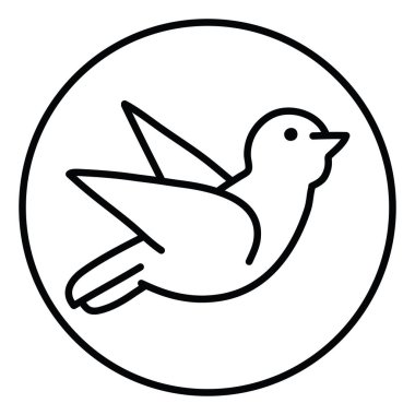 Frogmouth kuşu, resim, beyaz arka planda.