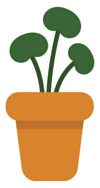 Planta Con Hojas Redondas Una Maceta Ilustración Icono Vector Sobre — Vector de stock