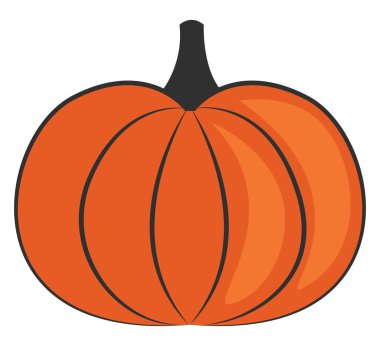 Beyaz arka planda turuncu balkabağı, resimleme.