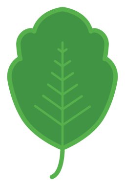 Beyaz arkaplanda küçük yeşil bir yaprak var..