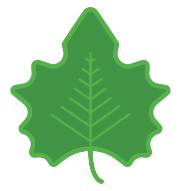 Büyük yeşil bir yaprak, beyaz bir arka planda..