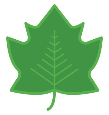 Beyaz arka planda büyük düz bir yaprak, resimleme.