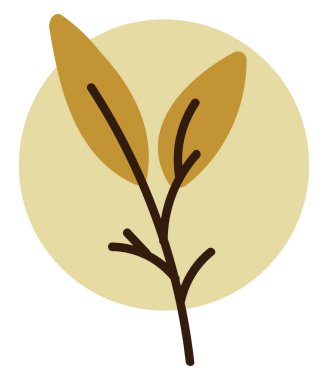 Beyaz arka planda iki portakal yaprağı, resimleme..