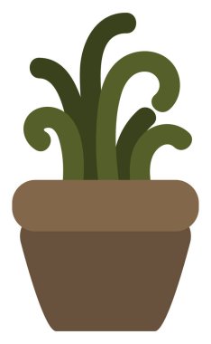 Kahverengi tencerede büyüyen kaktüs, beyaz arka planda çizimler..