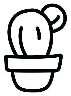 Ferocactus 'un beyaz bir arka planı var..