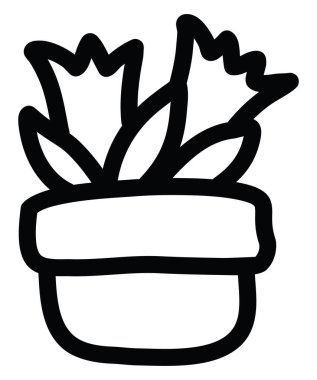 İki çiçek saksıda, resim, beyaz arka planda..