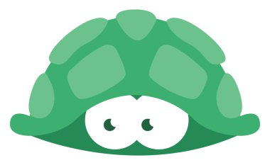 Beyaz arkaplanda yeşil deniz kaplumbağası resmi var..