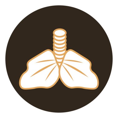 Sigara içen akciğerler, beyaz bir arka planda resimler..