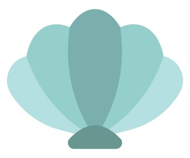 Mavi deniz kabuğu, beyaz arkaplanda çizimler..