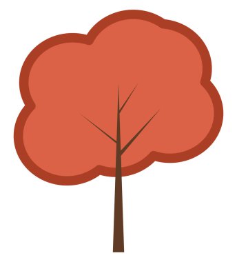 Brezilya ceviz ağacı, illüstrasyon, beyaz arka planda.