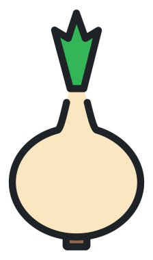 Beyaz arka planda taze beyaz soğan, illüstrasyon..