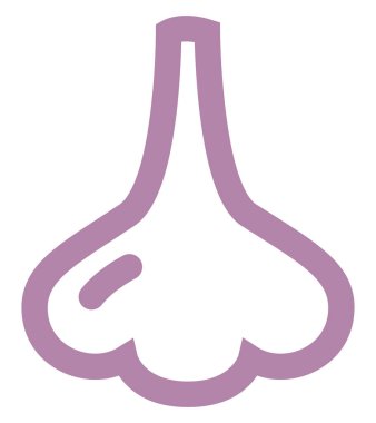 Beyaz arka planda mor sarımsak, resimli..