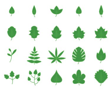 Beyaz arka planda yeşil bahar yaprakları, çizimler..