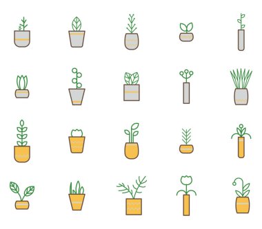 Saksıda bitkiler, resimleme, beyaz arka planda.