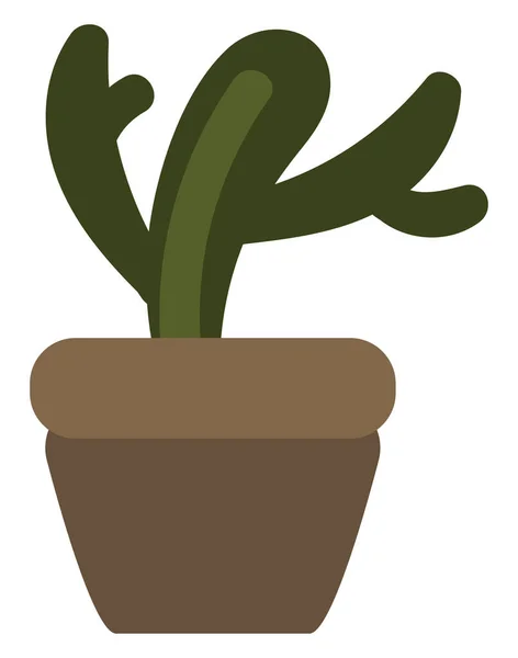 Cactus Verde Maceta Ilustración Sobre Fondo Blanco — Vector de stock