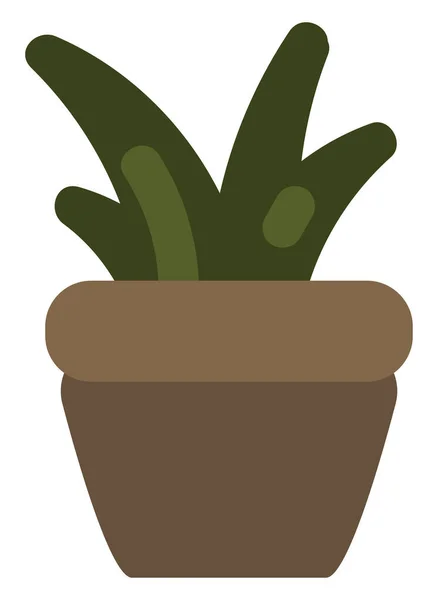 Aloe Dentata Dorata Vaso Illustrazione Fondo Bianco — Vettoriale Stock