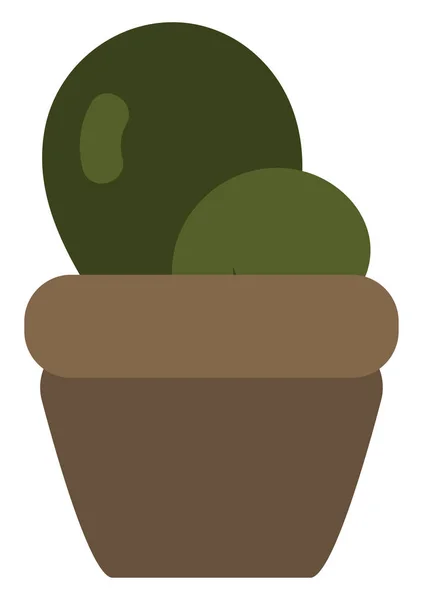 Succulent Pot Illustration Sur Fond Blanc — Image vectorielle