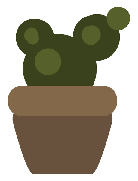 Cactus Rotondo Vaso Illustrazione Fondo Bianco — Vettoriale Stock