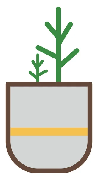 Jade Planta Vaso Ilustração Sobre Fundo Branco — Vetor de Stock