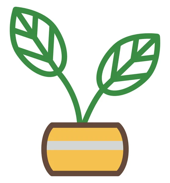 Kávé Növény Pot Illusztráció Fehér Alapon — Stock Vector