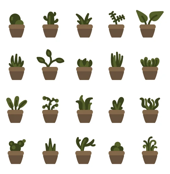 Plantas Casa Maceta Ilustración Sobre Fondo Blanco — Vector de stock