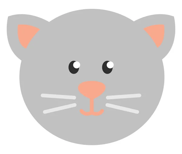灰猫的头 白色背景上的矢量 — 图库矢量图片