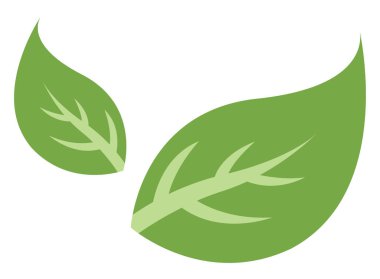 Beyaz arkaplanda iki yeşil yaprak, illüstrasyon, vektör.