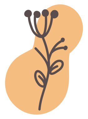 Beyaz arkaplanda turuncu karanfil, illüstrasyon, vektör.