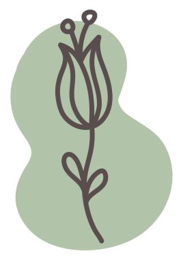 Yeşil kadife çiçeği, illüstrasyon, beyaz arkaplanda vektör.