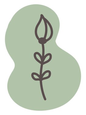 Nergis çiçeği, illüstrasyon, beyaz arkaplan üzerindeki vektör.