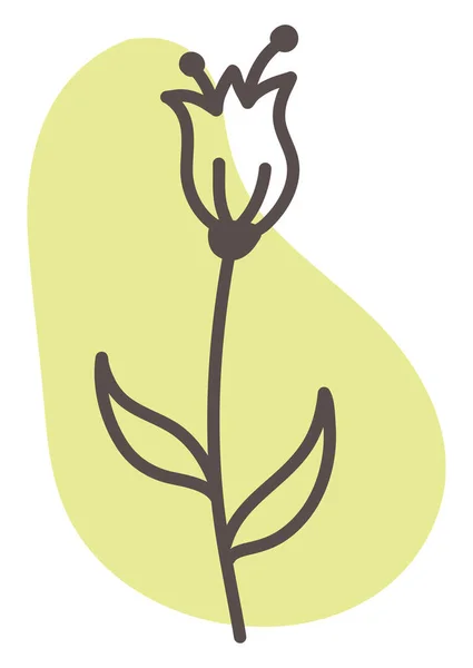 Квітка Кали Ілюстрація Вектор Білому Тлі — стоковий вектор