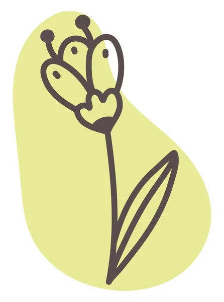 Крокус Квітка Ілюстрація Вектор Білому Тлі — стоковий вектор