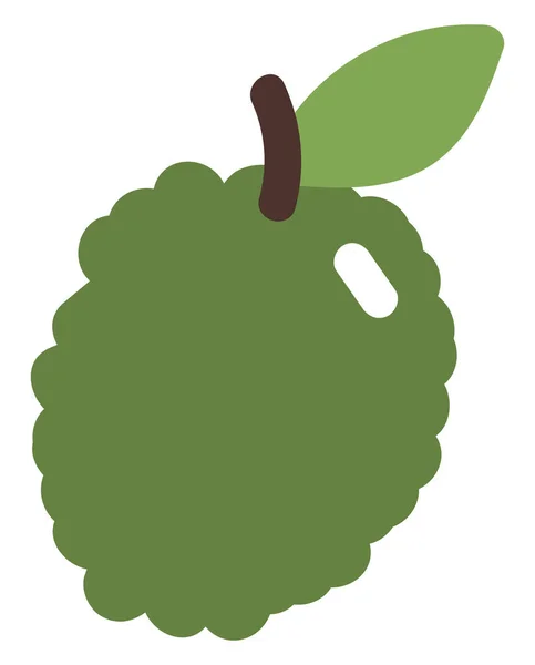 Grön Durian Illustration Vektor Vit Bakgrund — Stock vektor