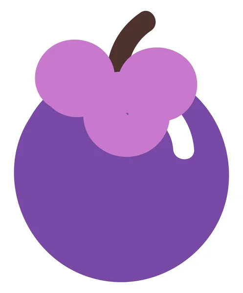 Purple Mangosteen Illustration Vector White Background — Stock Vector