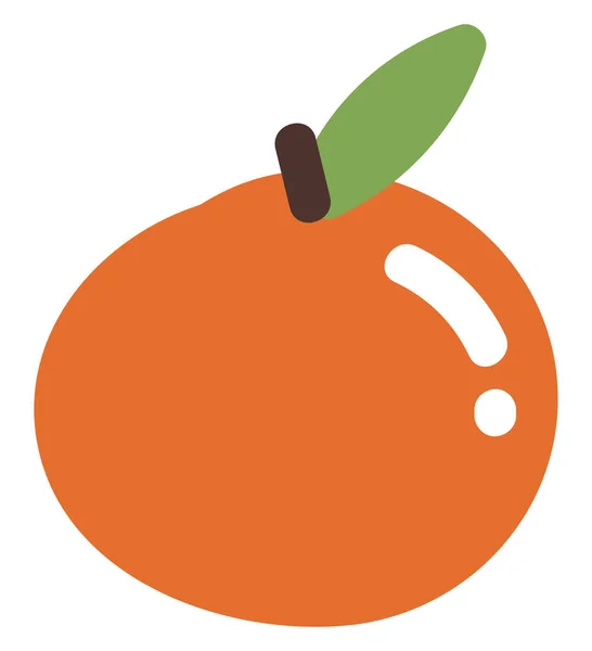 Naranja Fruta Ilustración Vector Sobre Fondo Blanco — Vector de stock