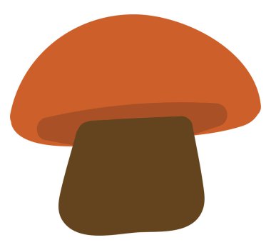 Yağlı kırmızı mantar, illüstrasyon, beyaz arka planda vektör..