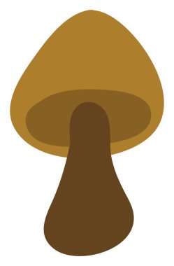 Orman mantarı, illüstrasyon, beyaz arkaplandaki vektör.