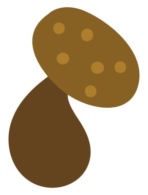 Kayın mantarı, illüstrasyon, beyaz arkaplanda vektör..