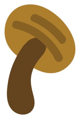 Siyah trompet mantarı, illüstrasyon, beyaz arka planda vektör..