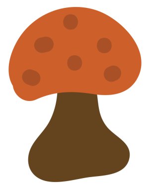 Chanterelle mantarı, illüstrasyon, beyaz arkaplanda vektör.