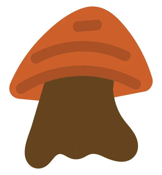 Enoki蘑菇 白色背景上的载体 — 图库矢量图片