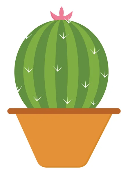 Ronde Cactus Bruine Pot Illustratie Vector Een Witte Achtergrond — Stockvector