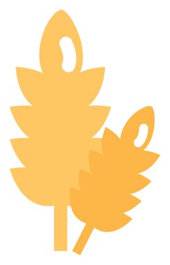 Beyaz arkaplanda sarı buğday, illüstrasyon, vektör.