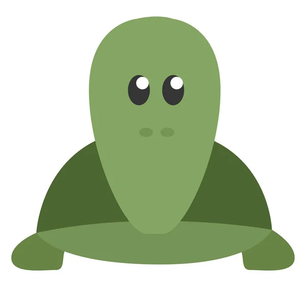 Green Turtle Illustration Vector White Background — Stock Vector