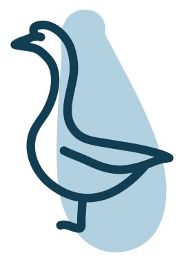 Yaban ördeği, illüstrasyon, vektör, beyaz arka plan.