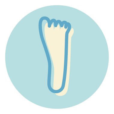 Beyaz arka planda insan ayağı, illüstrasyon, vektör..